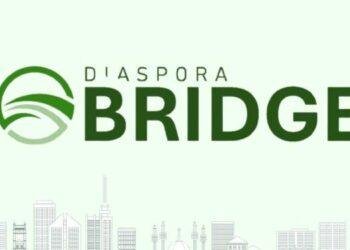 FG launches diaspora BRIFGE platform