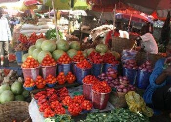 FG scaling up Public Private Partnership to achieve food sufficiency-Minister