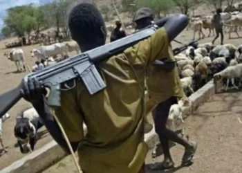 Herdsmen Kill Farmers in Delta