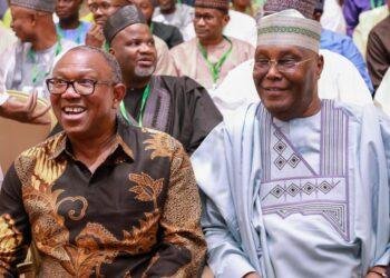 Obi more acceptable, competent to fly ADC's presidential ticket -- ADC chieftain