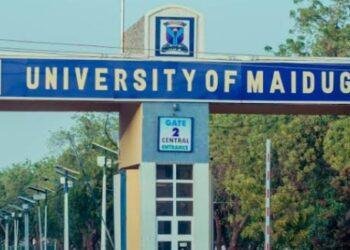 Nigerians express outrage over Tinubu's renaming of Unimaid