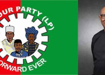 Labour Party to expel Peter Obi over alleged anti-party activities