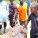 Locals kill hippo after deadly attacks on Adamawa communities
