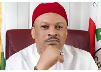 PDP at Crossroads: How Anyanwu’s comeback could reshape opposition landscape in Nigeria