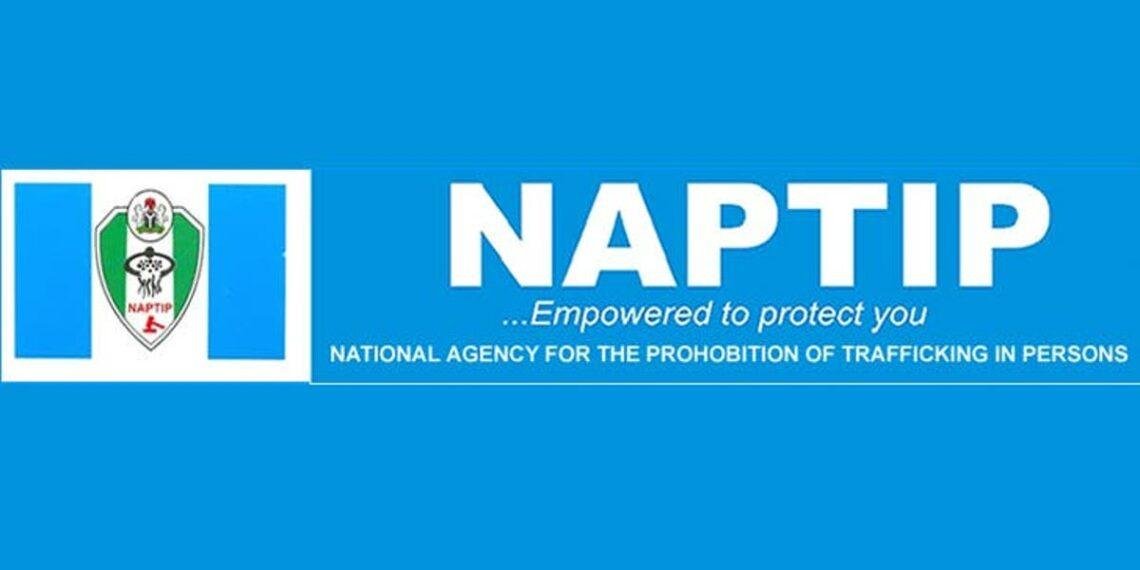 NAPTIP raids Katsina hotel, arrests suspected human traffickers