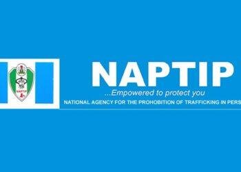 NAPTIP raids Katsina hotel, arrests suspected human traffickers