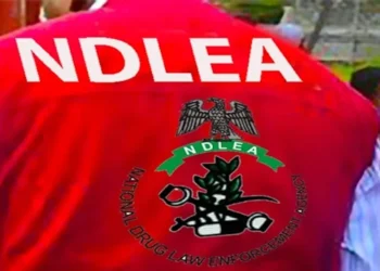 NDLEA and banned drugs