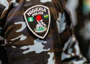 Police foil night attack by armed men near Benue border, 1 Officer Injured, civilian killed