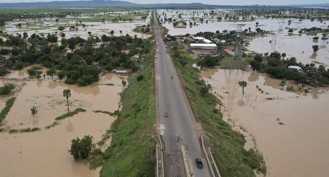 Adamawa: Unraveling causes, consequences of devastating Floods