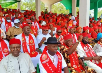 Ohanaeze hails Tinubu's readiness to negotiate Nnamdi Kanu's release