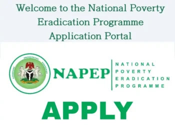 How to Apply for NAPEP’s Training, N100,000 Grant: Step-by-step guide for 2025