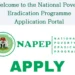 How to Apply for NAPEP’s Training, N100,000 Grant: Step-by-step guide for 2025