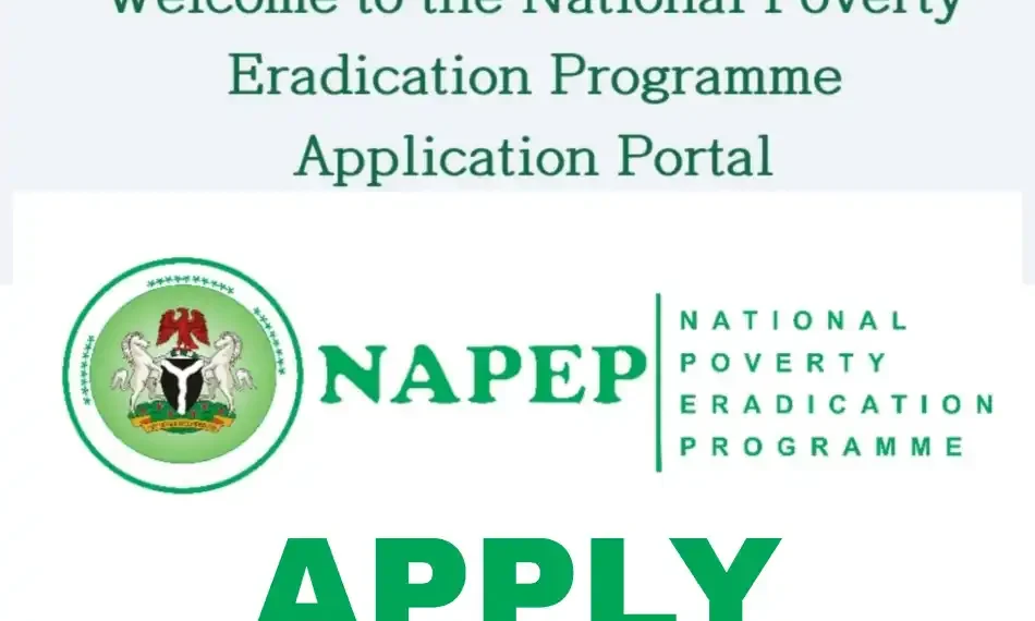 How to Apply for NAPEP’s Training, N100,000 Grant: Step-by-step guide for 2025