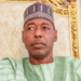 Zulum backs FG's digital innovation drive to reposition Borno civil service