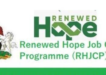 National Directorate of Employment, Renewed Hope Agenda, Nigerian youths, The Federal Government