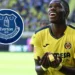 Everton close in on France U-21 Striker Thierno Barry in £34.5M deal from Villarreal