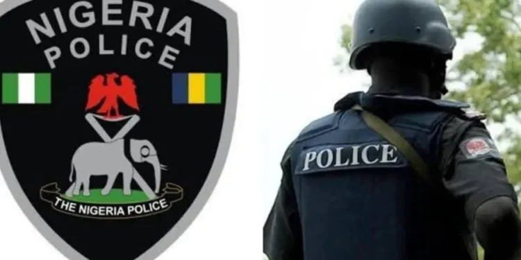 Public outcry trails audit of police arms inventory upto 2018