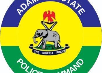 Adamawa Police begin investigation into tragic stray bullet incident involving 35 year old man in Mubi