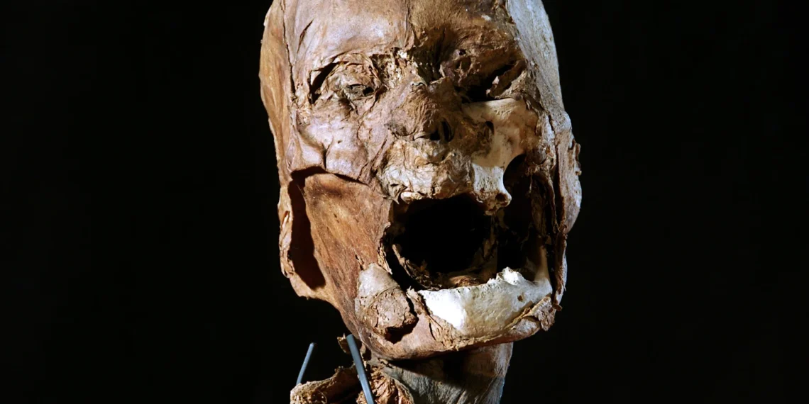 France returns slain king's skull to Madagascar