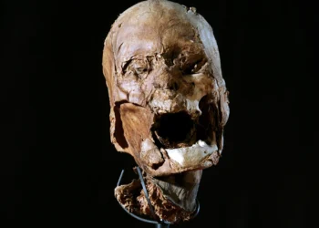 France returns slain king's skull to Madagascar