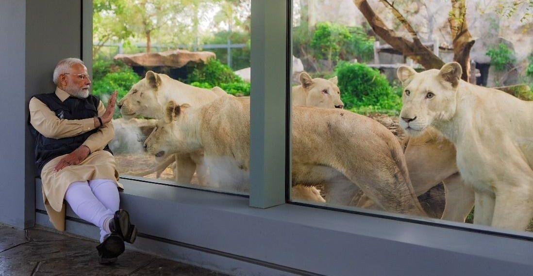 Vast private zoo run by son of India's richest man faces inquiry