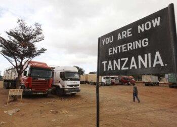Tanzania bans Nigerians, other foreigners from 15 key business sectors
