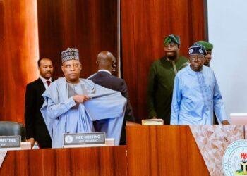 FG, governors launch initiative to create 1,000 jobs in each ward across Nigeria