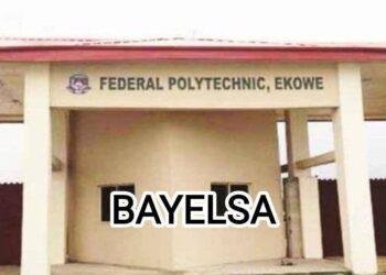 Federal Polytechnic Ekowe: SSANIP backs probe panel, demands Rector's suspension