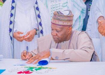 Gombe Gov signs bill creating 13 new LCDAs