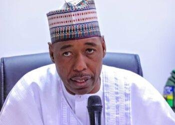 Gov. Zulum refutes Sowore's accusations of operating a torture facility