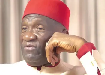 Nigeria heading for collapse without True Federalism, may not survive beyond 2027 – Nnia Nwodo