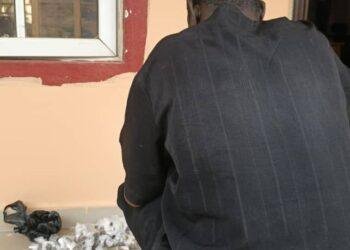 Police bust drug den in Ibadan, seize indian hemp, Canadian loud