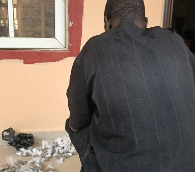 NSCDC apprehends suspected drug dealer, burglar in Kano