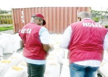 NDLEA arrests drug kingpin, 6 others in Kano