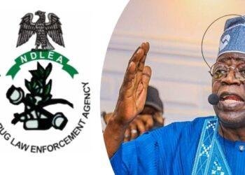 Tinubu administration strengthens NDLEA with 46 new vehicles to boost national security