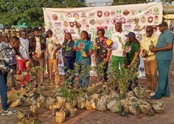 NVF embraces tree planting for sustainable climate change