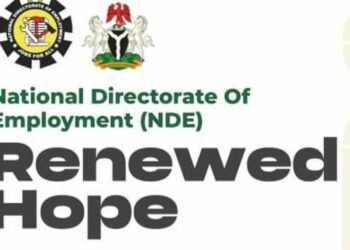 National Directorate of Employment, Renewed Hope Employment Initiative, Bola Tinubu, Silas Agara, list successful applicants