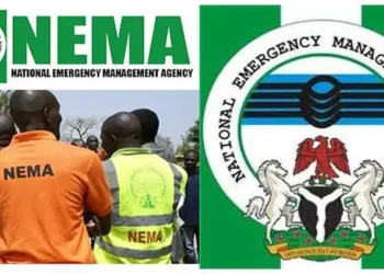 NEMA launches 2025 flood preparedness campaign in Taraba, warns of increased risk