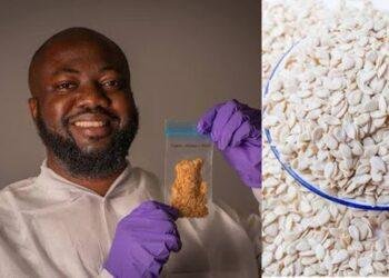 Melon seeds makes historic trip to international space station