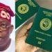 SERAP tasks Tinubu to reverse passport fees hike