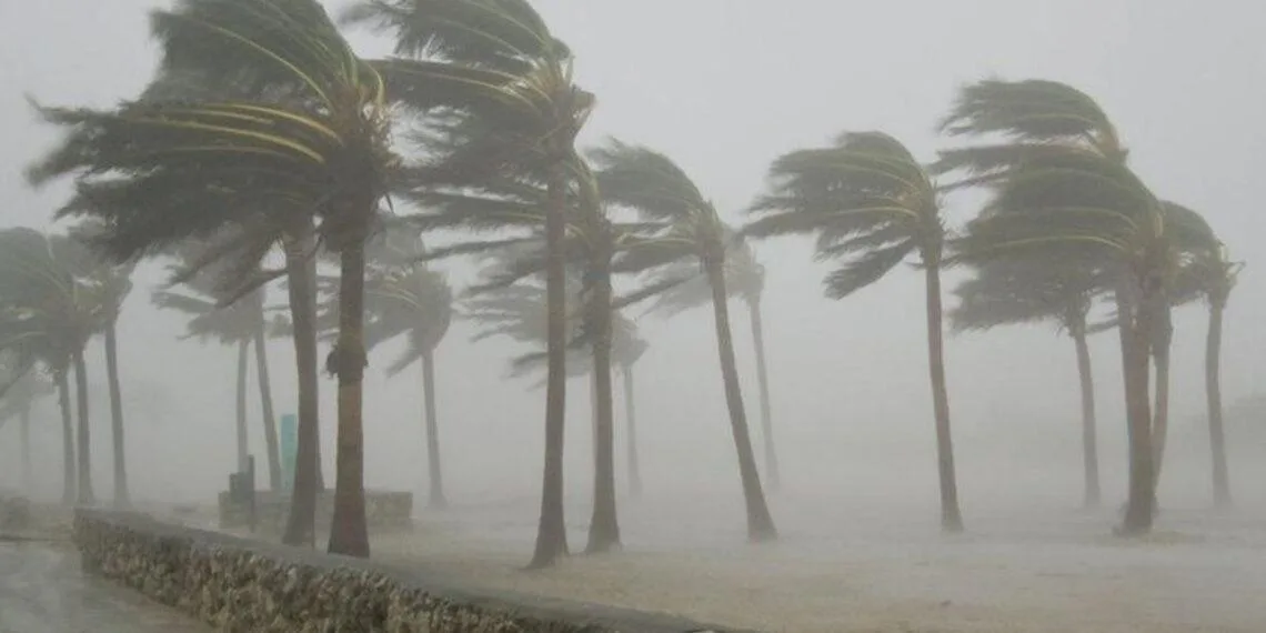 Windstorm topples power tower in Adamawa, leaves communities in darkness