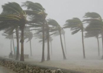 Flood displaces 612 residents as 21 communities hit in Potiskum LG