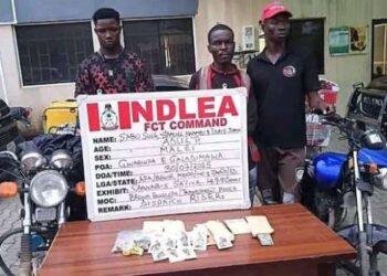 NDLEA arrests 3 dispatch riders for distributing drugs in Abuja