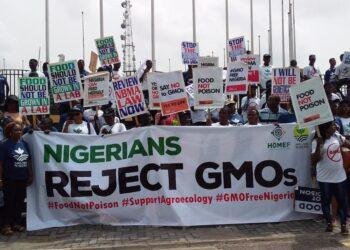 Civil Society Groups slam Nigerian Government over conflicting GMO safety claims