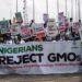 Civil Society Groups slam Nigerian Government over conflicting GMO safety claims