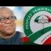 Peter Obi in talks with PDP, others as Obidient Movement signals realignment ahead of 2027