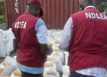 NDLEA arrests a 29-year-old man with 7,000 tramadol capsules in Kano