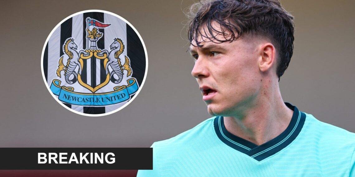 Wolves turn down Newcastle's £55m bid for Strand Larsen