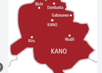 Confusion as CSOs observers differ in Bagwai/Shanono By-Election in Kano
