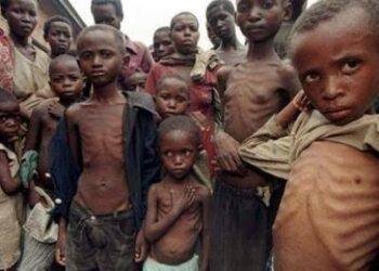 Nigeria ranks 1st in Africa, 2nd globally on child malnutrition index, says presidential aide